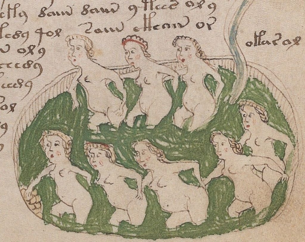 manoscritto Voynich donne