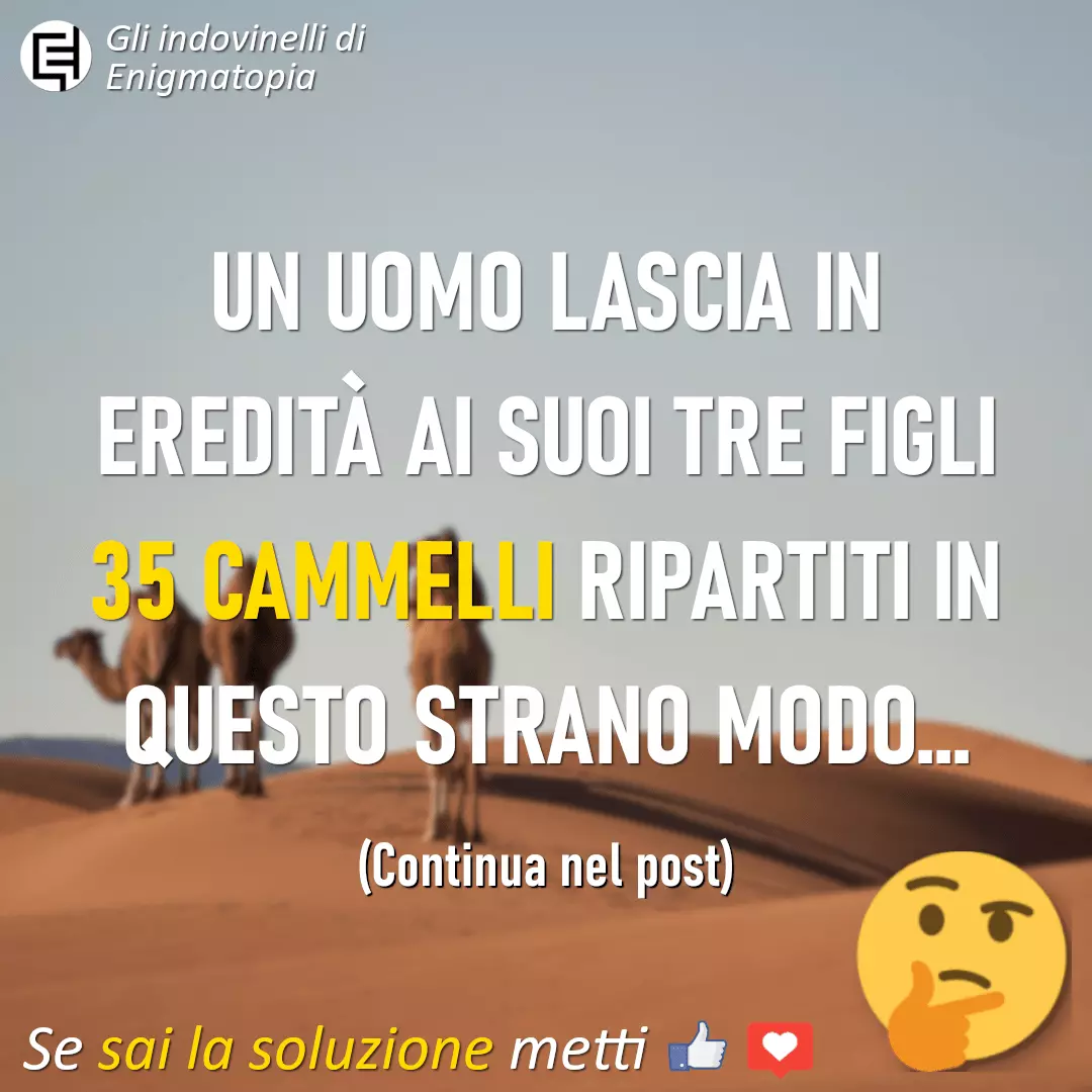 Scopri di più sull'articolo L’enigma dei 35 cammelli