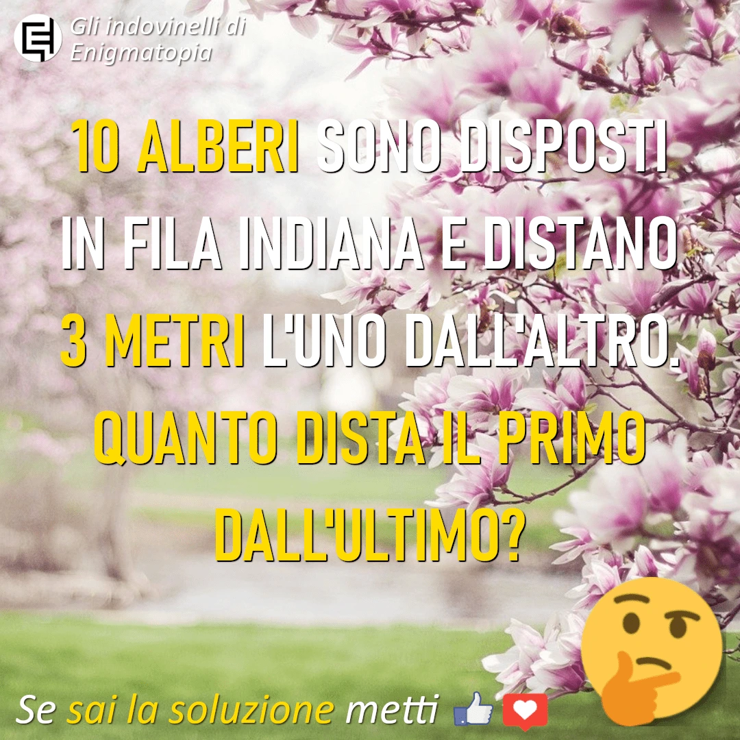 Scopri di più sull'articolo Alberi in fila