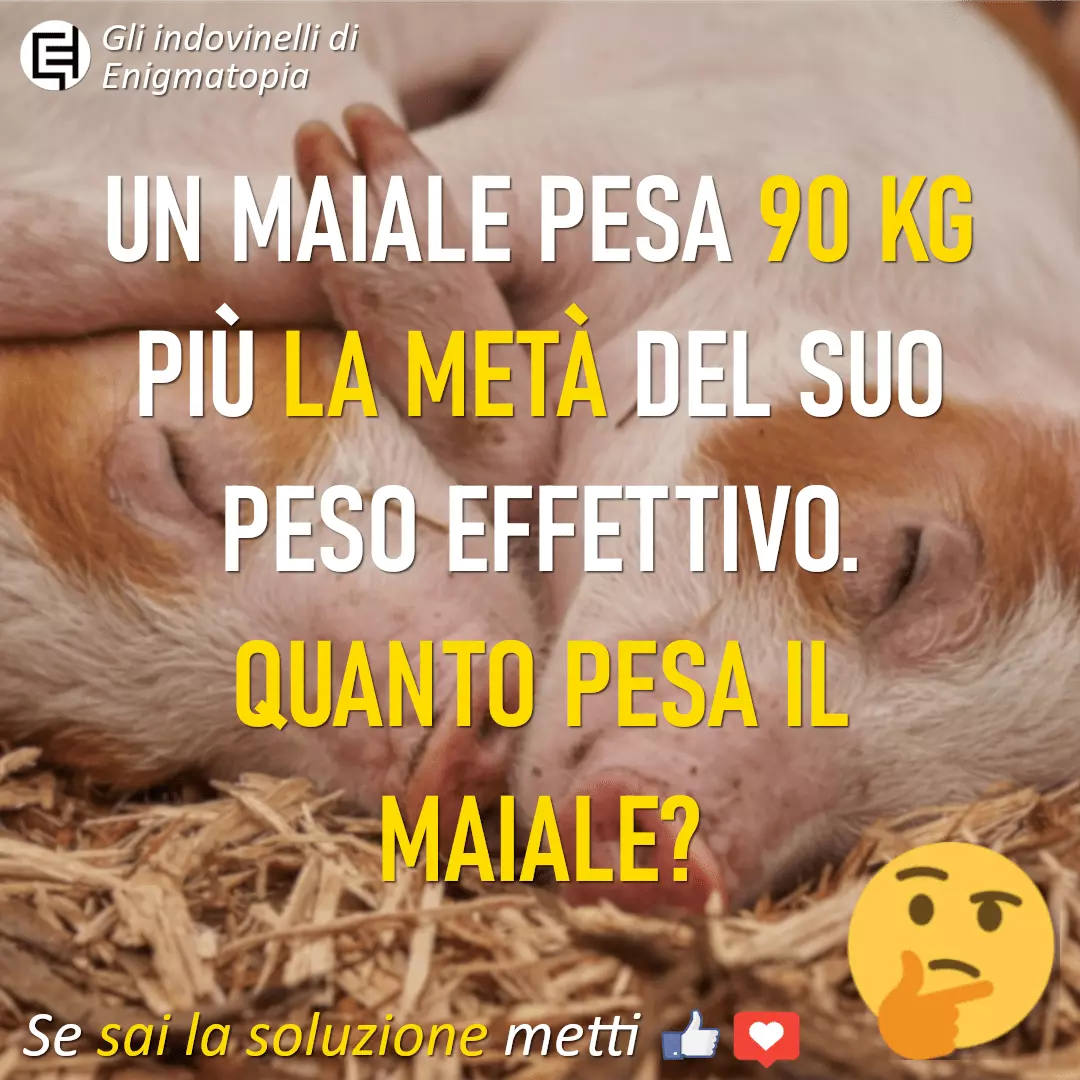 Scopri di più sull'articolo Quanto pesa il maiale?