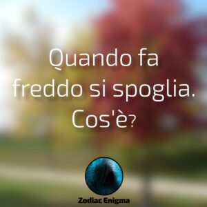 Quando fa freddo si spoglia